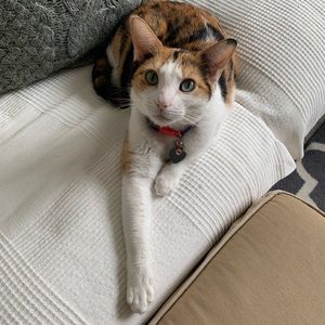 Meet your Posher, Teresa